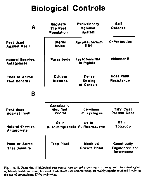 précis de santé publique et